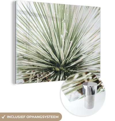 MuchoWow® Glasschilderij 120x90 cm - Schilderij acrylglas - Groen - Bladeren - Natuur - Foto op glas - Schilderijen