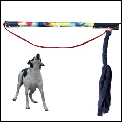 Hondenspeelgoed Flirt Pole in de kleuren Regenboog Aquarel print. Maat 1 - Hondenhengel - speelhengel - hondentraining - spelen en leren - trekspel - dog training - focus training - focus speelgoed - speeltouw - ShukoGear by MadeByShuko