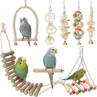 Vogelspeelgoed Set - Vogelkooi Accessoires - Stimuleert Beweging - Natuurlijk Hout Materiaal - 8 Delig - Multicolor