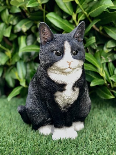 Britse Korthaar 30 cm - Kat zittend groot zwart en wit – kitten - poes - polyester - polystone - beeld - tuinbeeld - hoogkwalitatieve kunststof - decoratiefiguur - interieur - accessoire - voor binnen - voor buiten - cadeau - geschenk