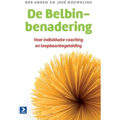 De Belbin-Benadering - Rob Groen