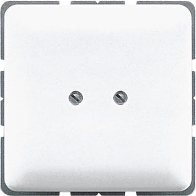 Jung CD500 Schakelelement/Centrale Plaat - CD561BWW - E2T6G