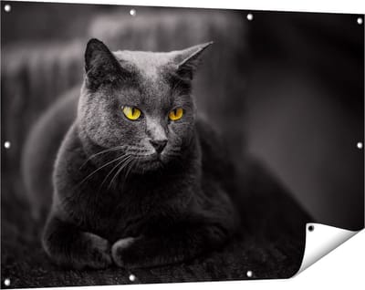 Gards Tuinposter Zwarte Kat met Gele Ogen - 120x80 cm - Tuindoek - Tuindecoratie - Wanddecoratie buiten - Tuinschilderij