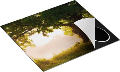 Chefcare Inductie Beschermer Eikenboom aan het Water met Volle Bladeren - 60x50 cm - Afdekplaat Inductie - Kookplaat Beschermer - Inductie Mat