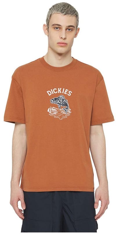 Dickies Dumfries T-shirt Met Korte Mouwen Oranje S Man