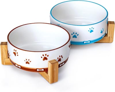 Hondenkommen Set - Voerbakken - Comfortabel Eten - Verhoogde Standaard - 2 Stuks 840ml - Bruin Lichtblauw