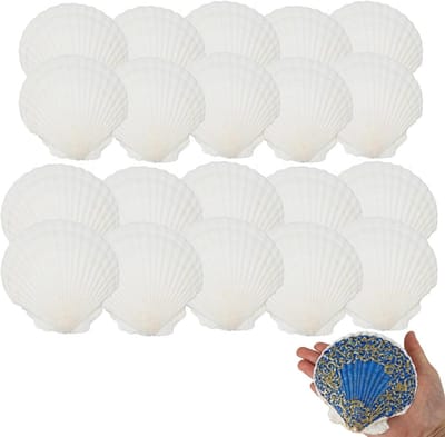20 Stuks Natuurlijke Schelpen voor Creatieve Projecten, Grote en Kleine Witte Schelpen voor DIY Schilderen, Bruiloft Decoratie en Ocean Themed Feestjes