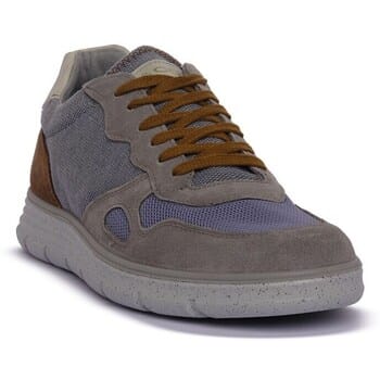 Sneakers IgI&amp;CO GRIGIO BERTH