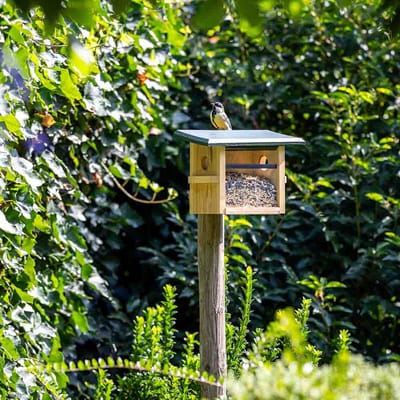 CJ Wildlife Vogelvoederhuisje voor Kleine Vogels & Tuinvogels - Tilburg - Voederhuis van Hout - Voederhuisje Wandmodel - Bruin