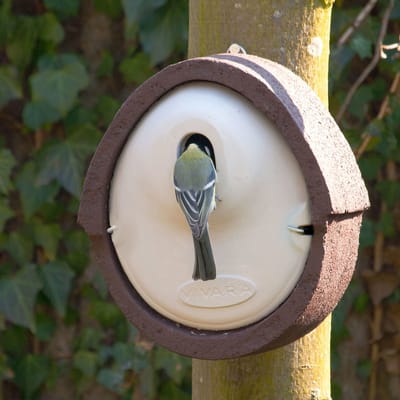 CJ Wildlife Nestkast - Aanbevolen door de Vogelbescherming Nederland - Alicante - Nestkastje voor o.a. Koolmees, Boomklevers & Mussen - Woodstone Vogelhuisje - FSC-gecertificeerd - Bruin