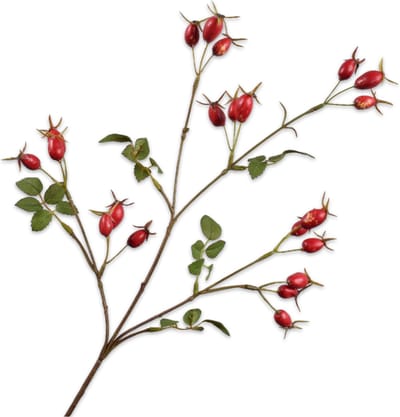 Silk-ka Kunstbloem-Zijden Bloem-Kunsttak Rozenbottel Tak Rood 67 cm