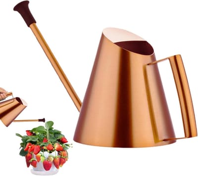 Gieter Kamerplanten - Waterplanten Plantenspuit - Planten Water Geven - Lange Uitloop - 900 ml - Brons
