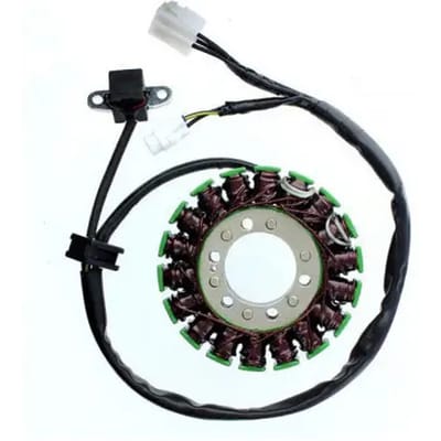 Aanpasbare dynamo Electrosport Suzuki