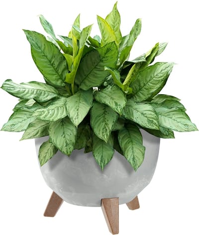 KADAX Kunststof bloempot met drie steunen, ronde bloembak, plantenpot, bloempot voor balkon, woonkamer (grijs, diameter 29 cm)