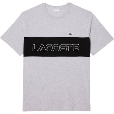 Lacoste Heren T-shirt van dik katoen met kleurblokken en getailleerde pasvorm (Grijs)