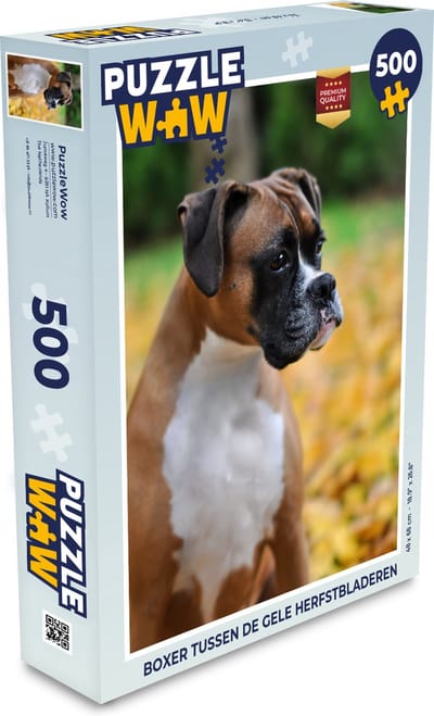 Puzzel Boxer tussen de gele herfstbladeren - Legpuzzel - Puzzel 500 stukjes