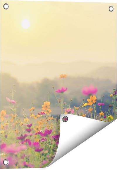 Gards Tuinposter Bloemenveld met Kosmos - Zonsondergang - 40x50 cm - Tuindoek - Tuindecoratie - Wanddecoratie buiten - Tuinschilderij