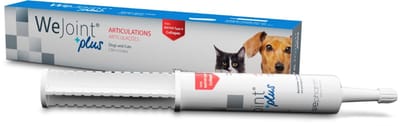 WePharm WeJoint PLUS Pasta - 30 ml - Ondersteuning Van Gewricht Voor Honden en Katten - Natuurlijk Supplement
