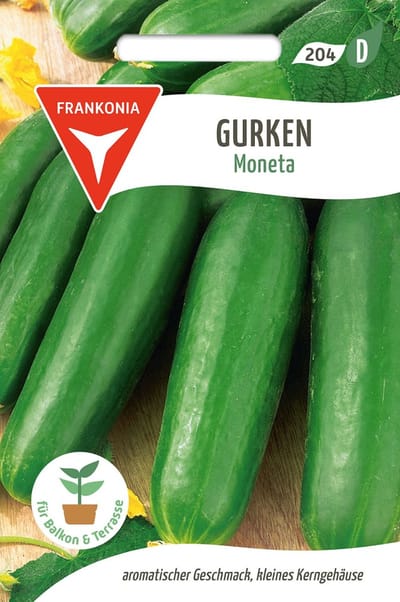 Saladekomkommer, Moneta - Bestseller groentezaden komkommerzaden