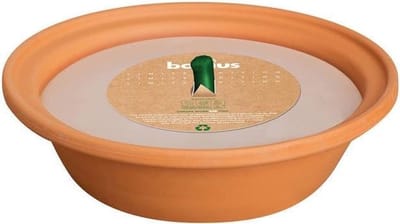 Bolsius Flame bowl