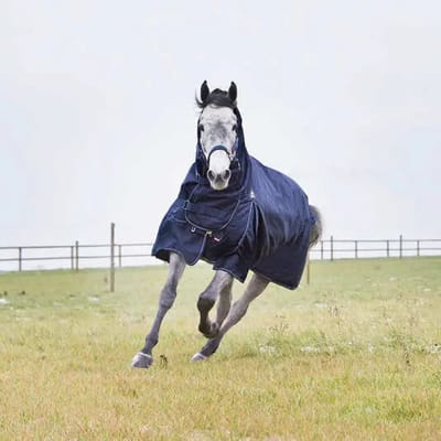 Paardendeken voor buiten in het tussenseizoen Horze Combo Avalanche - 1200D 150g