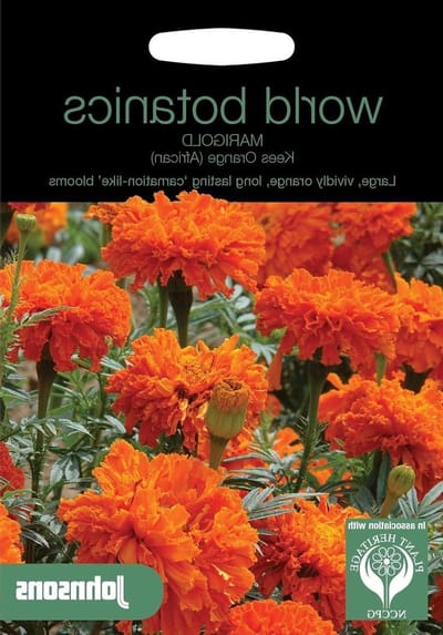 Goudsbloemen Zaden - Oranje Bloemen - Tuin Decoratie - Makkelijk Kweken - 75 Zaden - Oranje