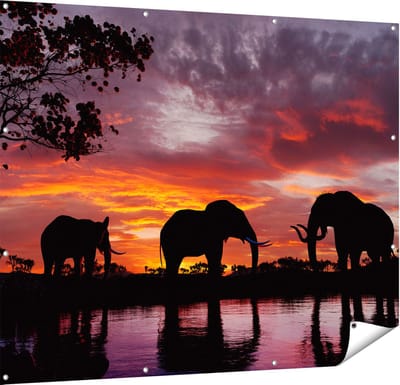 Gards Tuinposter Olifanten tijdens Zonsondergang - Silhouet - 150x120 cm - Tuindoek - Tuindecoratie - Wanddecoratie buiten - Tuinschilderij