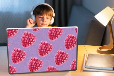 Laptop sticker - 17.3 inch - Framboos - Fruit - Aquarelverf - 40x30cm - Laptopstickers - Laptop skin - Cover