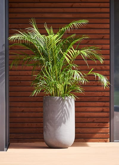 Pottery Pots - Plantenbak Cody high S - Ø28cm x H45cm - Indoor en Outdoor - Light Grey(horiz ridg)