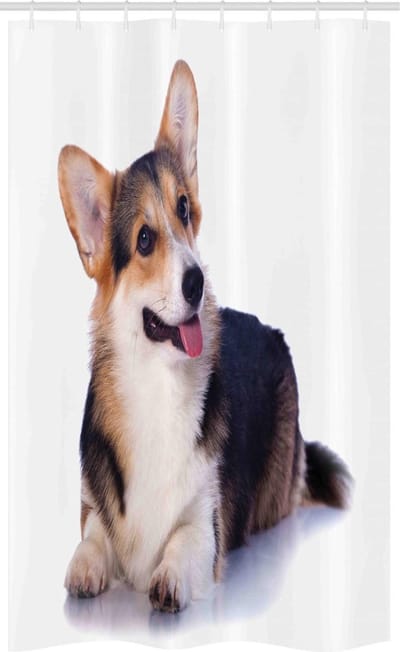 ABAKUHAUS douchegordijn – Corgi kunst – 120 x 180 cm – Polyester