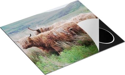 Chefcare Inductie Beschermer Twee Schotse Hooglanders in het Heuvelvelachtige Veld - 60x50 cm - Afdekplaat Inductie - Kookplaat Beschermer - Inductie Mat