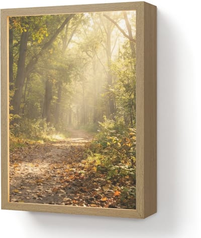 Wandlamp 30x40 cm - Oplaadbaar - Zonlicht - Bospad - Bomen - Wandlampen binnen woonkamer - Slaapkamer lamp - Decoratieve nachtlamp - Vloerlamp draadloos