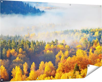 Gards Tuinposter Gekleurde Herfstbos met Mist - 150x100 cm - Tuindoek - Tuindecoratie - Wanddecoratie buiten - Tuinschilderij
