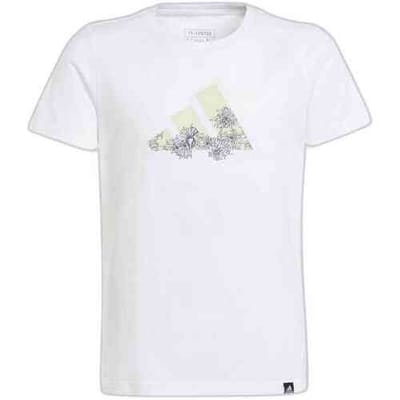 T-shirt Korte Mouw adidas IM8381
