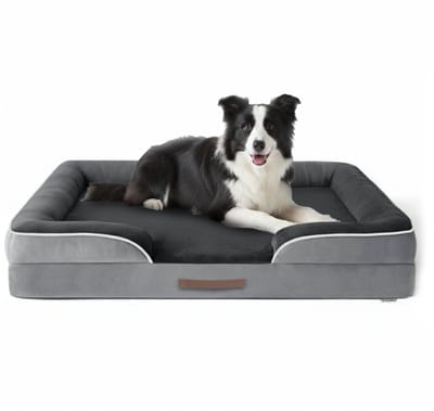 Jake and Jacky Hondenmand - Orthopedisch Hondenkussen - Hondenbed - Tweezijdig Matras - Met Traagschuim - Wasbare Hoes - Maat L - 89x64x17cm