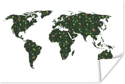 Poster 30x20 cm - Wereldkaart - Tropische Planten - Wit - Posters - Kamer decoratie - Wanddecoratie woonkamer - Muurdecoratie slaapkamer