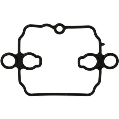 Briggs & stratton vlotterbakpakking