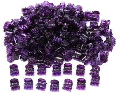Dailygoods - Wambere 100 stuks mini-haarspelden, klauwhaarspelden, haaraccessoires, haarsieraden, haarklemmen, meisjes, kinderen, haarclips, dames voor meisjes, vrouwen, accessoires, dagelijks dragen, paars