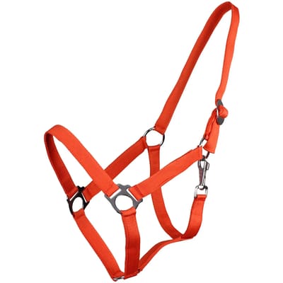 Halsband met schuifsluiting Q-essentials