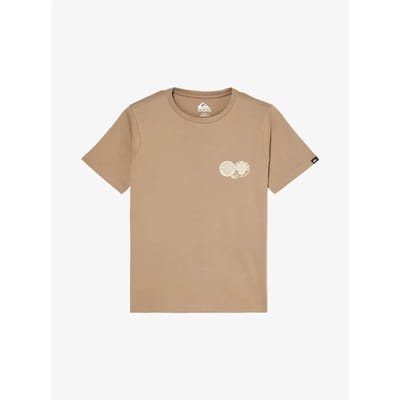 Quiksilver Balance T-shirt Met Korte Mouwen Bruin 14 Years Jongen