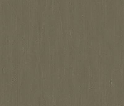 Zambaiti Vinylbehang Z54544 - Fuksas - Grafisch Groen - 70cm x 10.05m