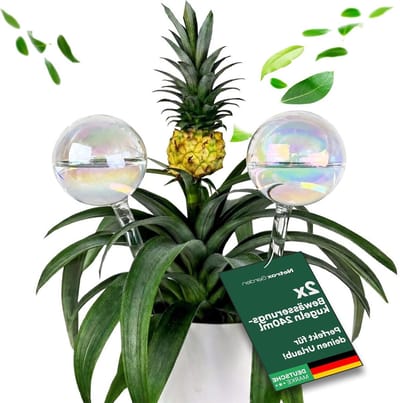 Irrigatie Ballen - Watergevers Planten - Planten Verzorgen - Handgemaakt Glasontwerp - 2x 400 ml - Helder