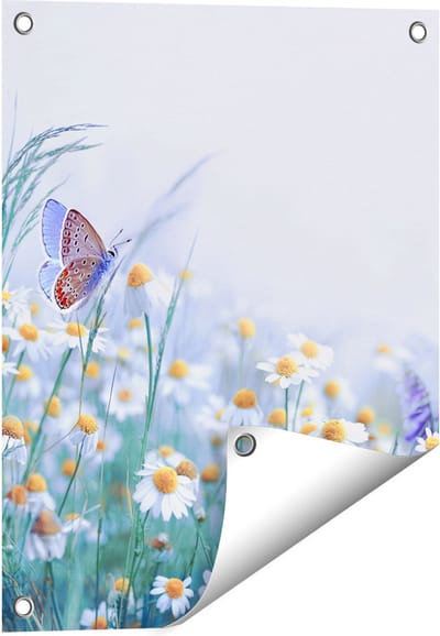 Gards Tuinposter Witte Kamille Bloemen met een Vlinder - 40x50 cm - Tuindoek - Tuindecoratie - Wanddecoratie buiten - Tuinschilderij