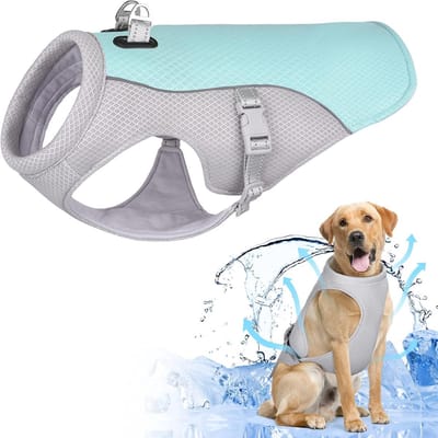 Koelvest voor honden - Voorzien van verstelbare D-ring - Ademend en lichtgewicht, geschikt voor kleine en grote honden - Blauw, maat L - Borstomtrek 49-70 cm
