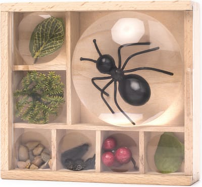 Kikkerland – Huckleberry Bug Box – Insecten doosje – Vergroten – Natuur - Buitenspeelgoed
