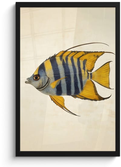 Poster in lijst - Fotolijst 40x60 cm - Posters - Vis - Sierlijk - Vinnen - Illustratie - Posterlijst zwart - Decoratie - Wanddecoratie woonkamer - Muurdecoratie slaapkamer
