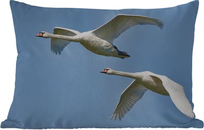 Buitenkussens - Tuin - Zwaan - Vogel - Lucht - Blauw - 50x30 cm