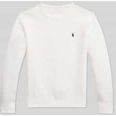 Sweaters Polo Ralph Lauren SWEATSHIRT COL ROND EN MAILLE DOUBLE KNIT TECH