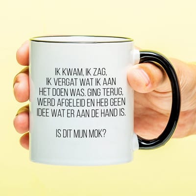 Mok Ik Kwam, Ik Zag, Ik Vergat van Ditverzinjeniet.nl