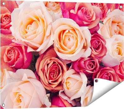 Gards Tuinposter Roze Rozen Achtergrond - Bloemen - 80x60 cm - Tuindoek - Tuindecoratie - Wanddecoratie buiten - Tuinschilderij